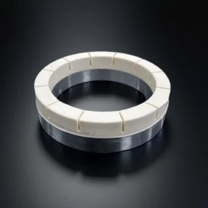 An alumina ceramic retaining ring installed in a planetary lapping carrier, holding semiconductor wafers in place for polishing.