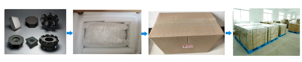 Si₃N₄ Ceramic Inserts Packaging