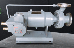 Type5 Silicon Carbide Canned Motor Pump