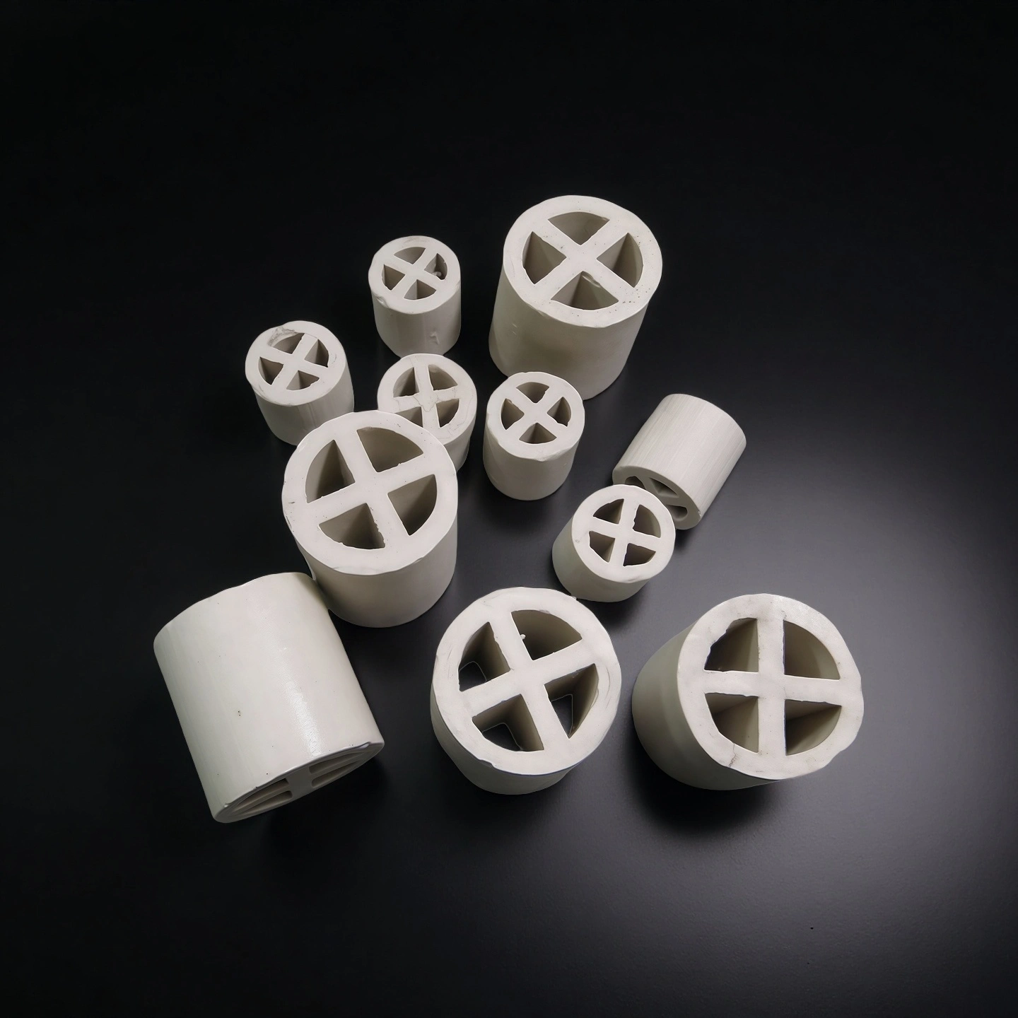 Alumina Raschig Rings in Packed Column