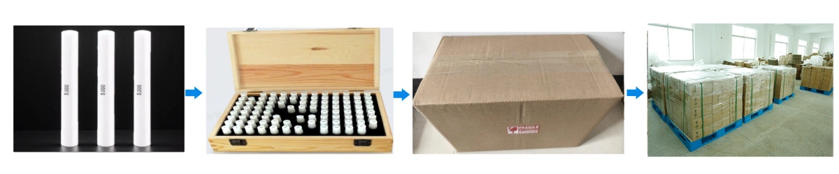 Alumina Ceramic Gauges Packaging